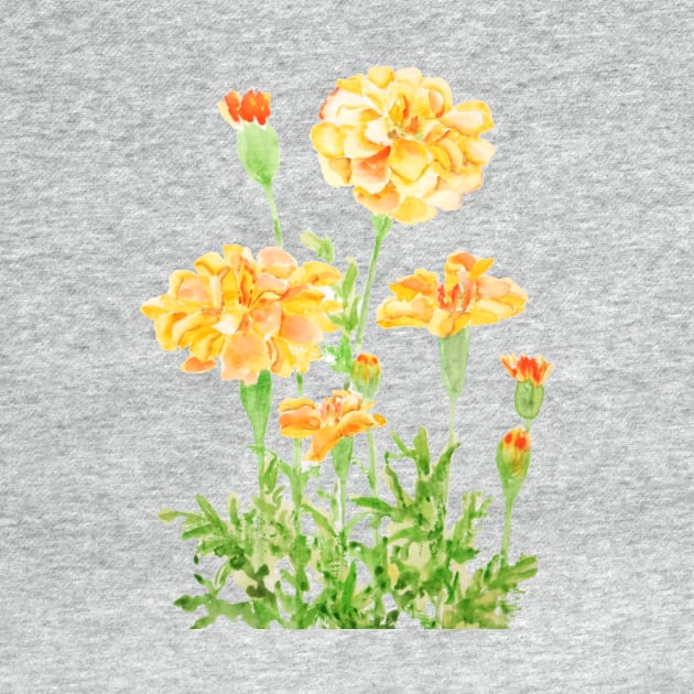 orange Mexican marigold flowers by colorandcolor